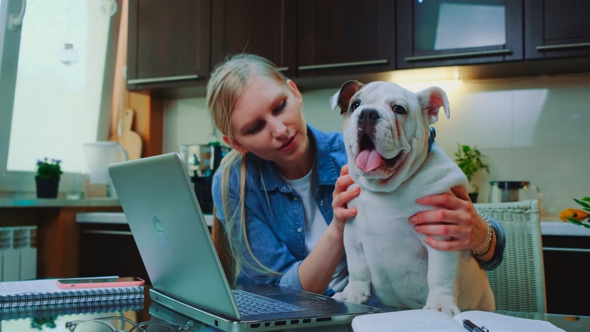 Traveller coordinating pet-friendly booking support on a mobile device