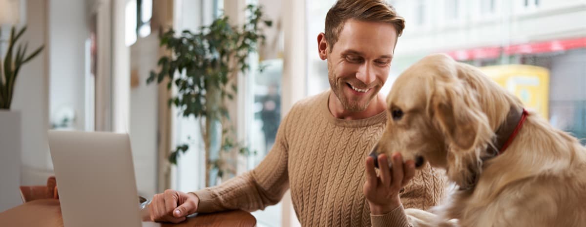 Traveller with a dog reviewing pet-friendly accommodation options on a laptop