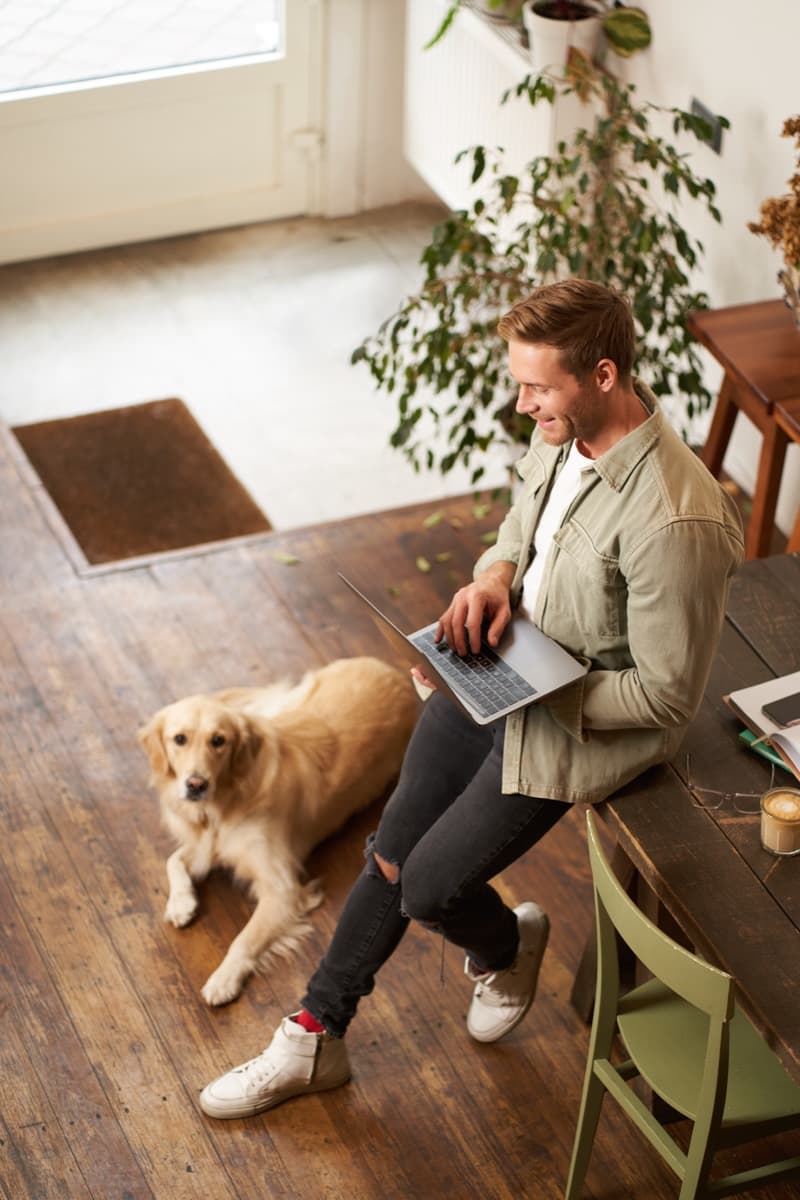 Professional working at a desk with a dog in pet-friendly accommodation