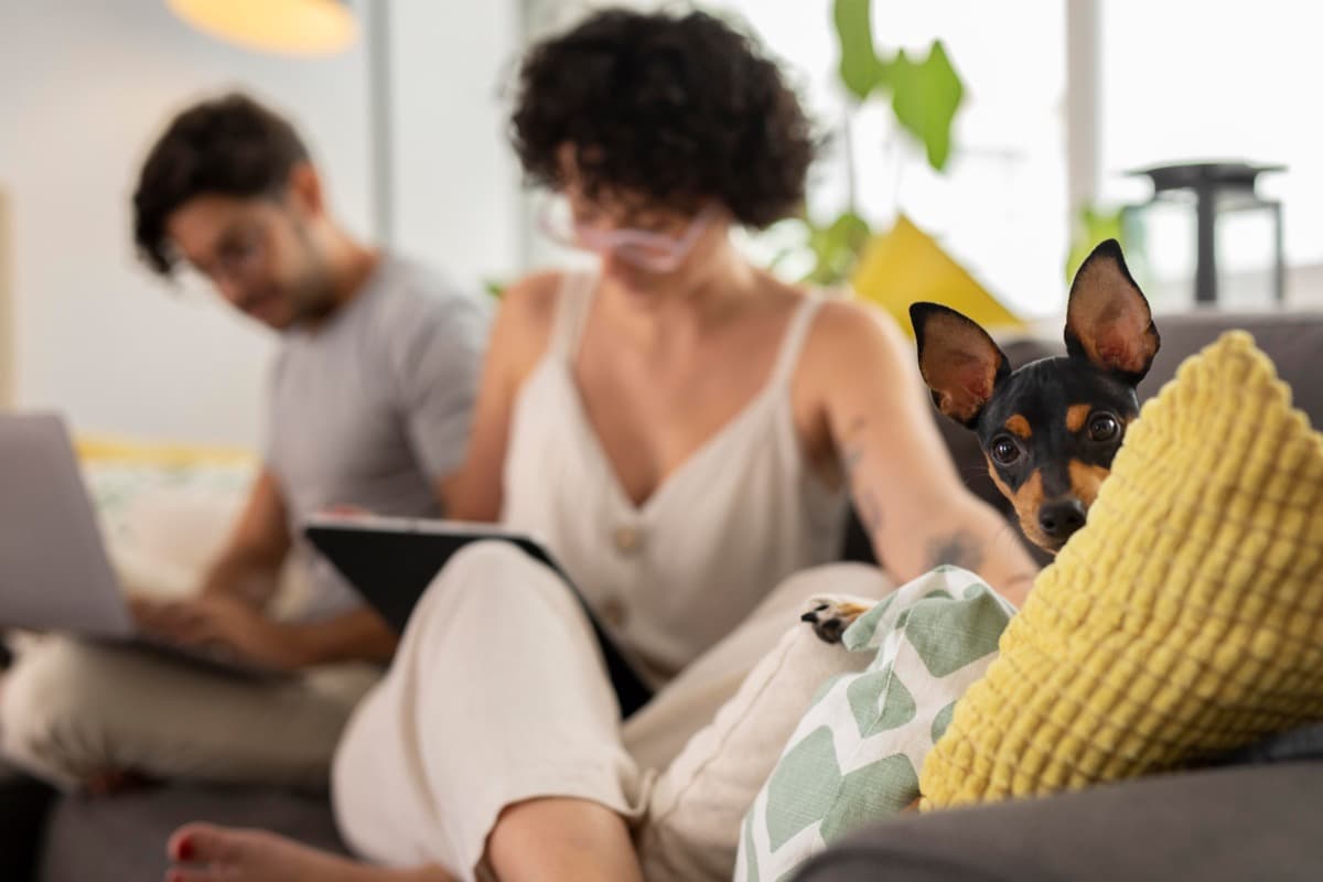 Guest relaxing with a dog in a professionally managed pet-friendly apartment