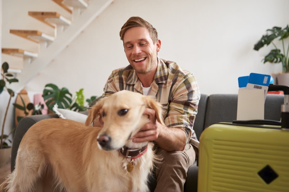 Guest with a dog comparing pet-friendly apartment offers on a laptop